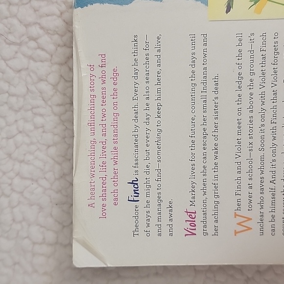 All The Bright Places by Jennifer Niven - Picture 3 of 4